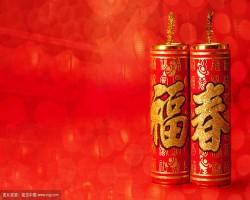 公司春节放假通知